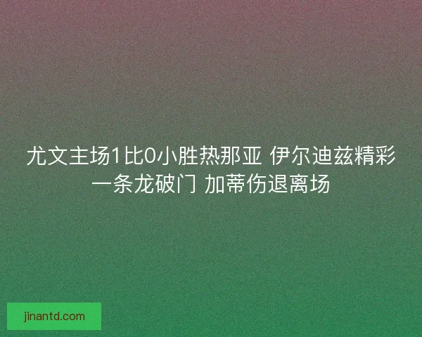尤文主场1比0小胜热那亚 伊尔迪兹精彩一条龙破门 加蒂伤退离场