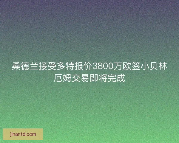 桑德兰接受多特报价3800万欧签小贝林厄姆交易即将完成 桑德兰接受多特报价3800万欧签小贝林厄姆交易即将完成